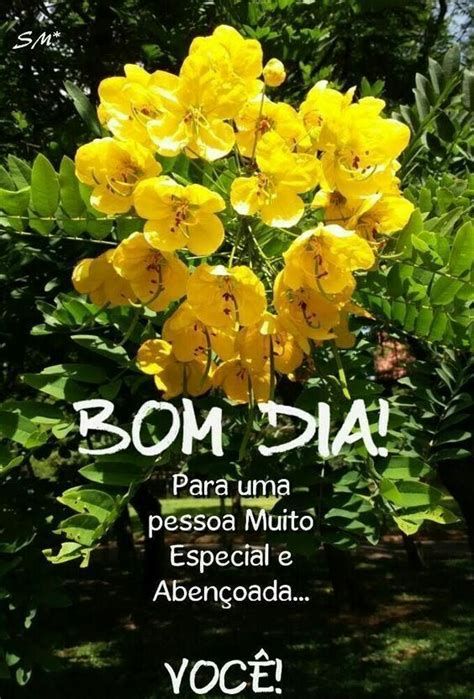 bom dia mensagem