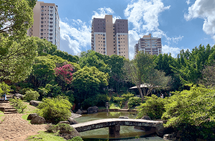 Conhecendo Higienópolis: Imóveis, bares e a grande variedade na gastronomia